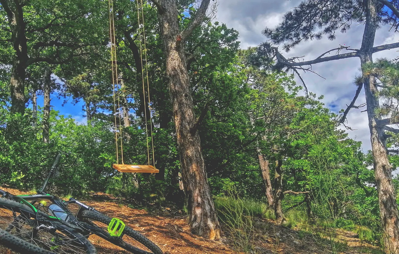 Photo wallpaper forest, bicycle, sky, bike, trees, country, swing, Sport