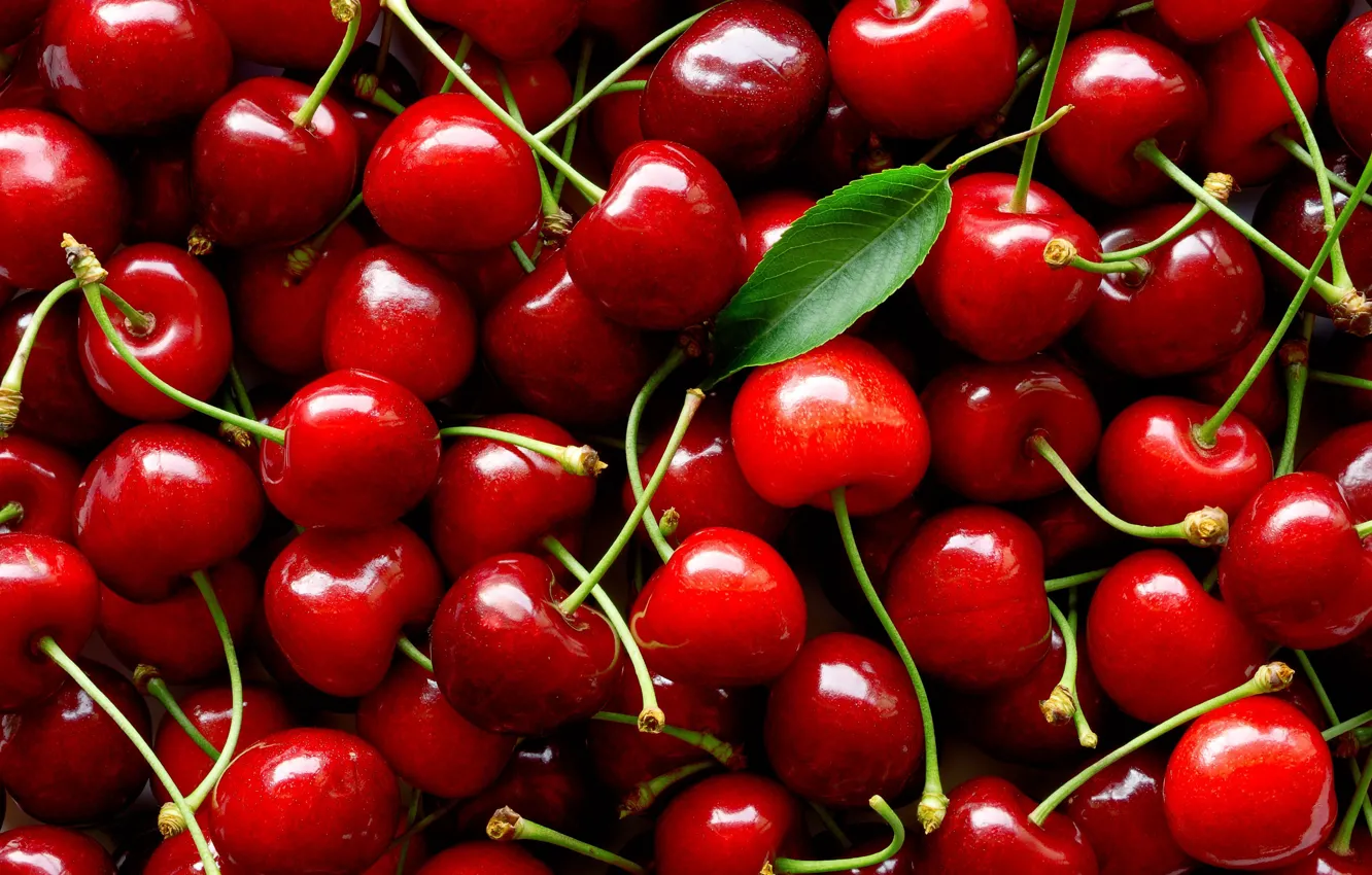 Photo wallpaper cherry, berries, leaf, red, a lot, cherry