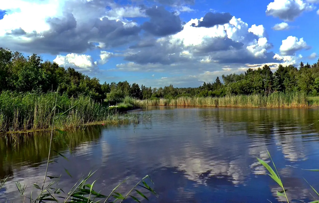 Photo wallpaper summer, water, landscape, nature, lake, shore