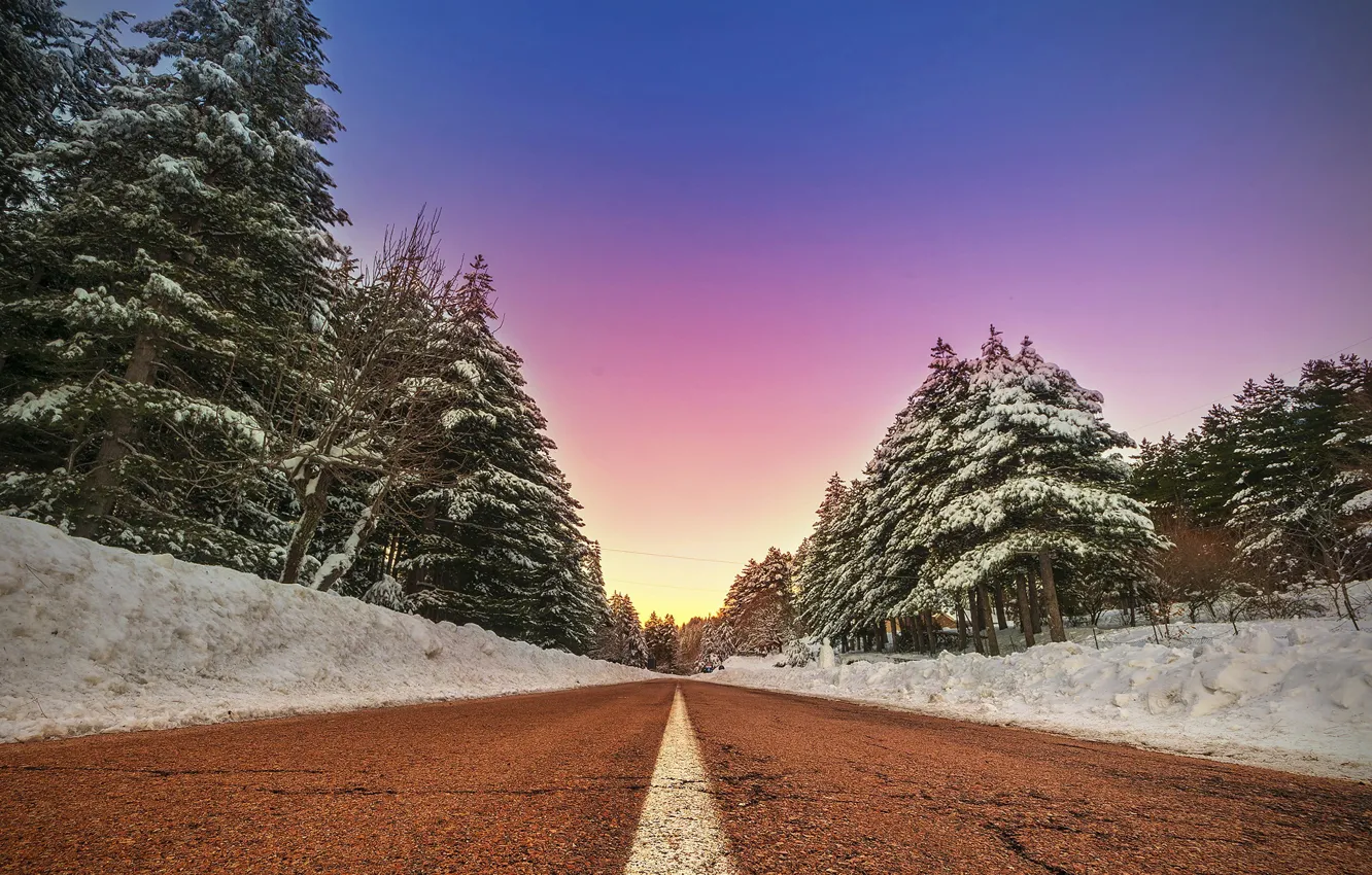 Photo wallpaper winter, road, forest, the sky, forest, trees, winter, roads