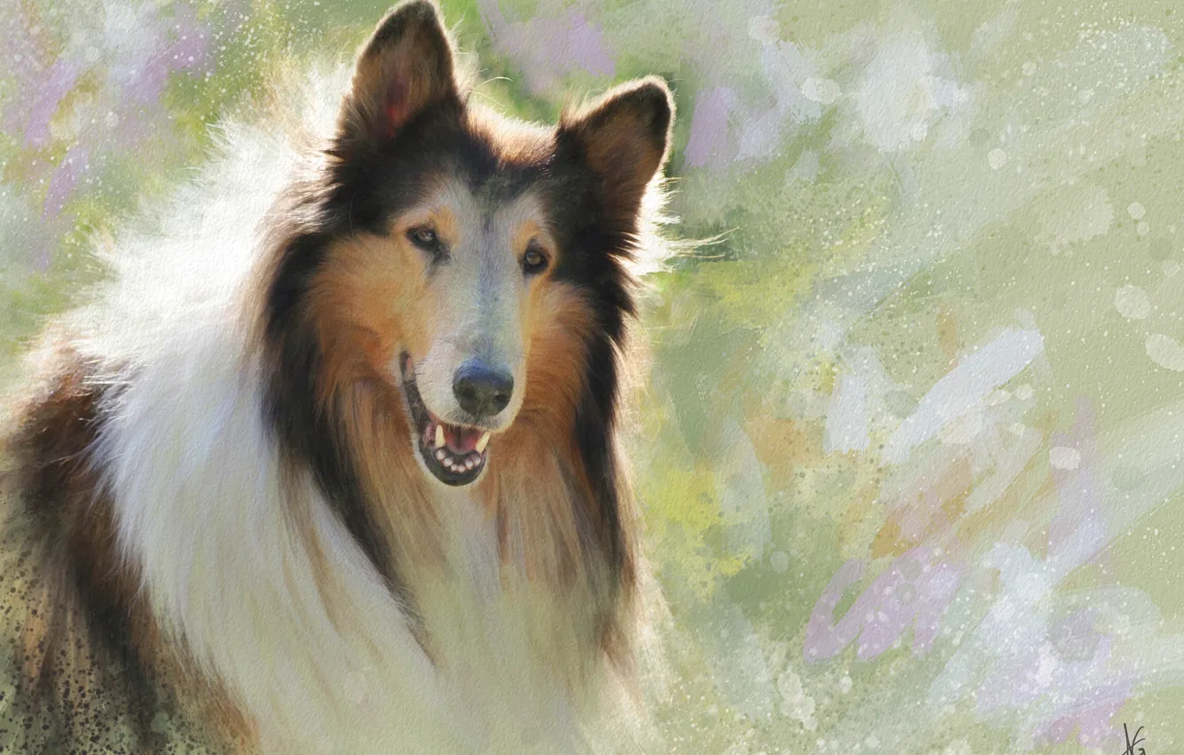Photo wallpaper face, figure, portrait, dog, picture, painting, Sunny, strokes