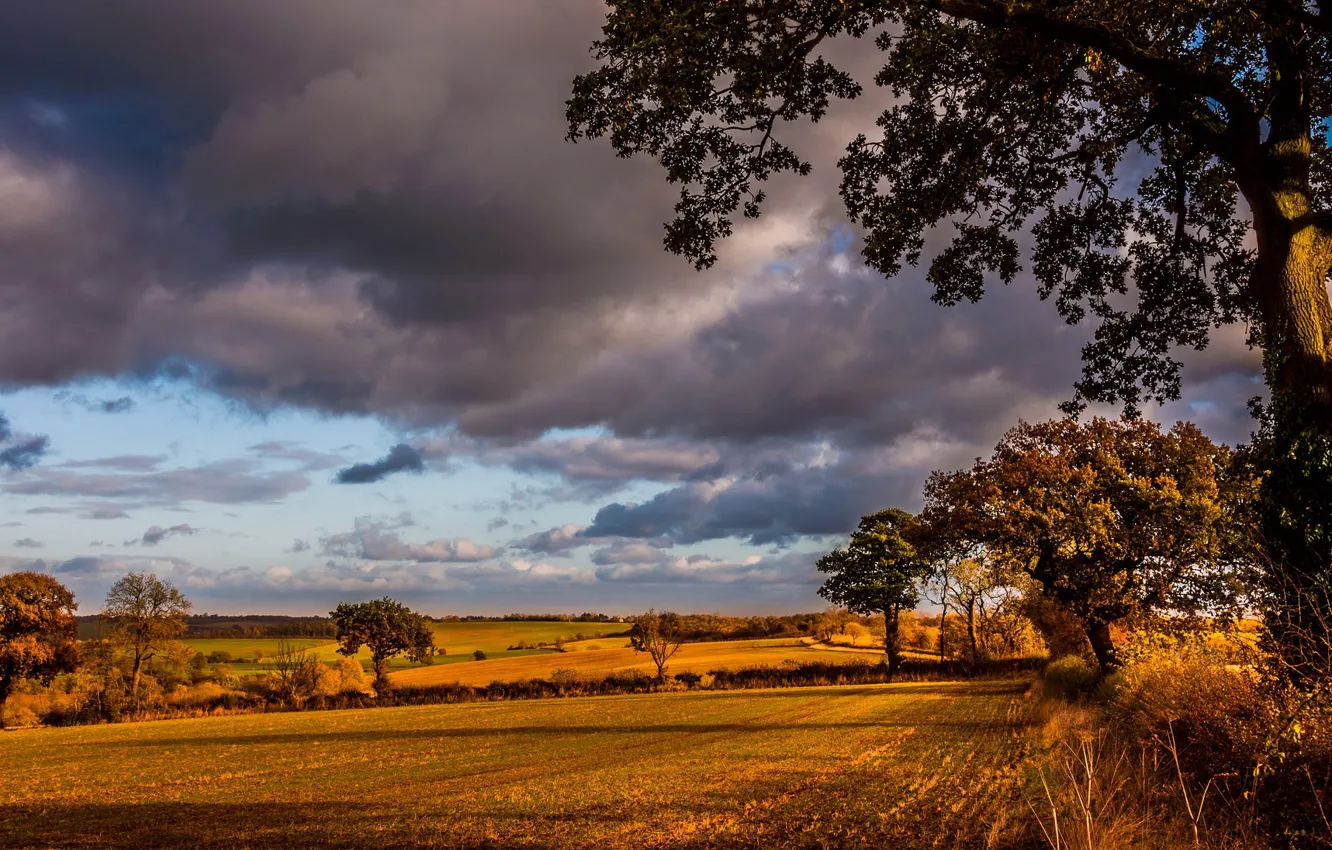 Photo wallpaper field, autumn, light, morning