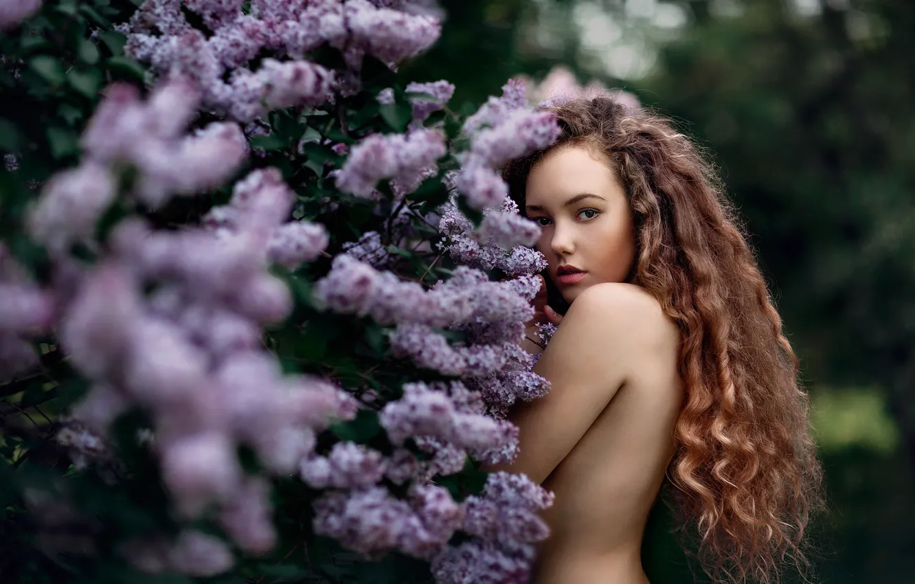 Photo wallpaper look, girl, curls, long hair, lilac, Sofia, Alexander Aksenov