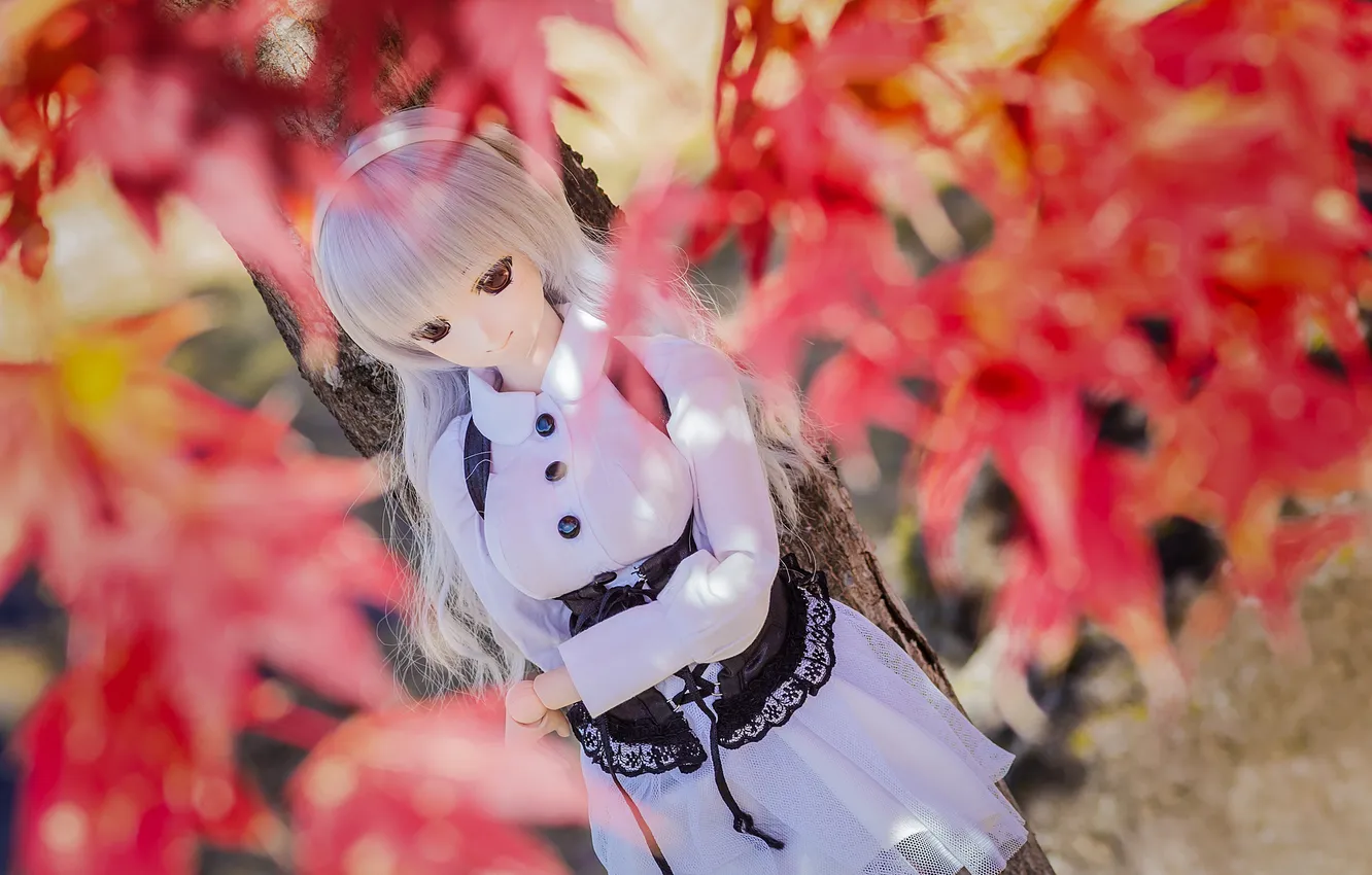 Photo wallpaper trees, nature, toy, doll, blonde