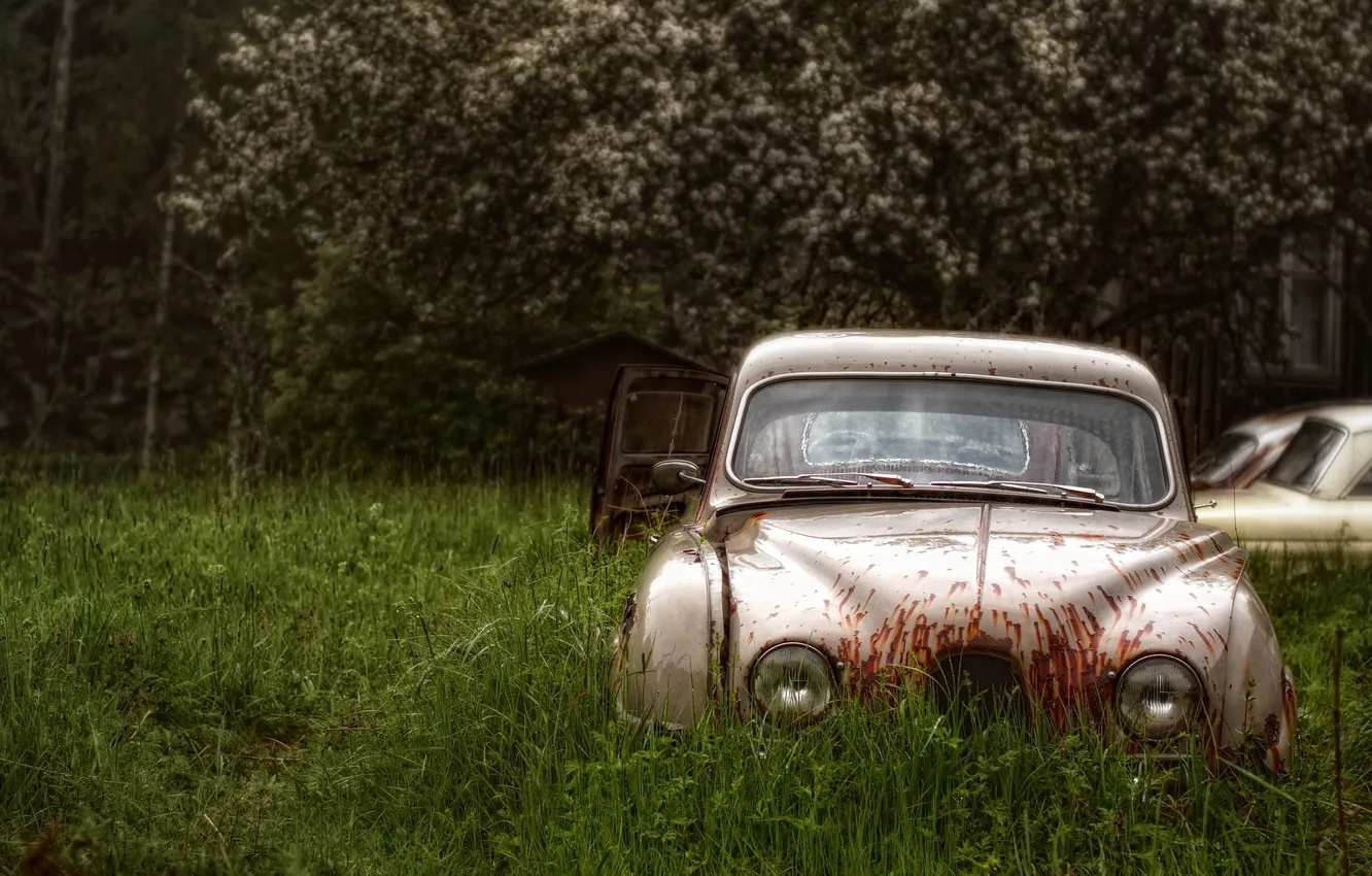 Photo wallpaper field, machine, grass, scrap