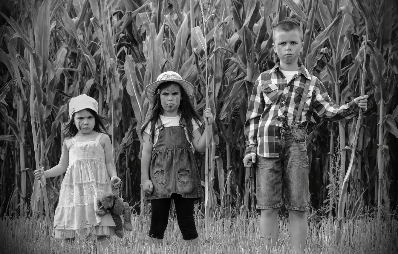 Photo wallpaper photo, based on the movie, children of the corn