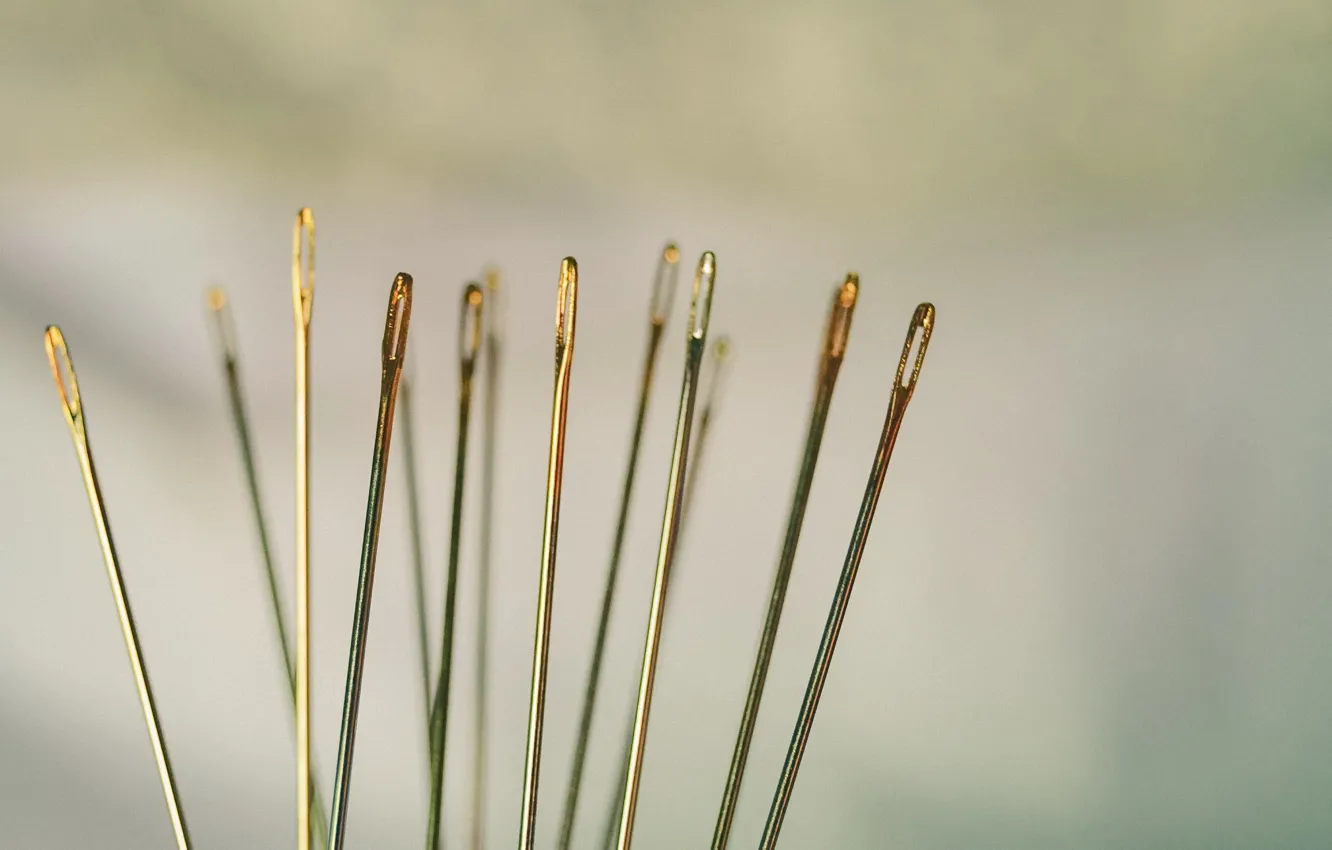 Photo wallpaper macro, needles, background