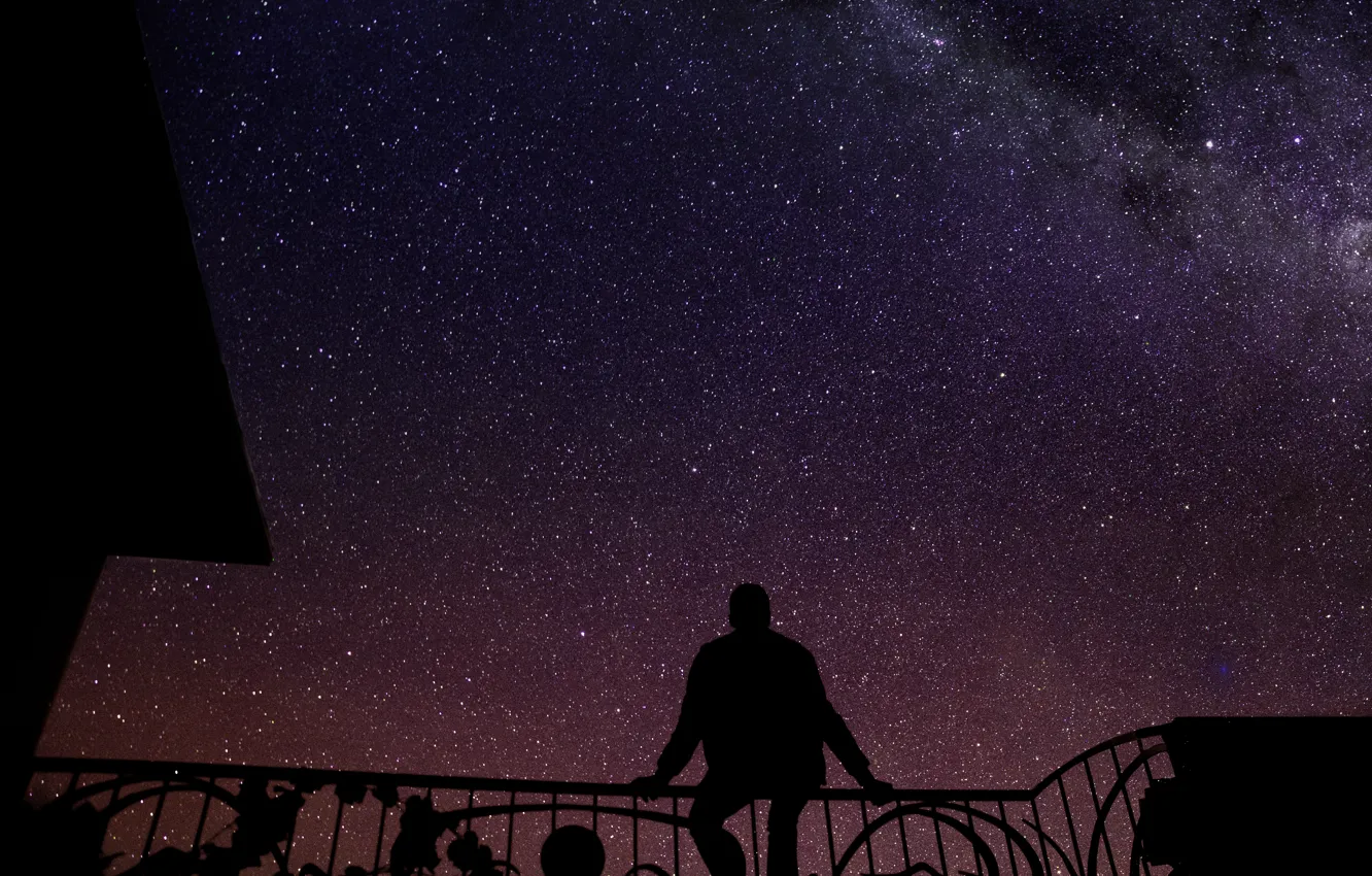 Photo wallpaper the sky, grass, the sun, stars, clouds, night, dawn, black