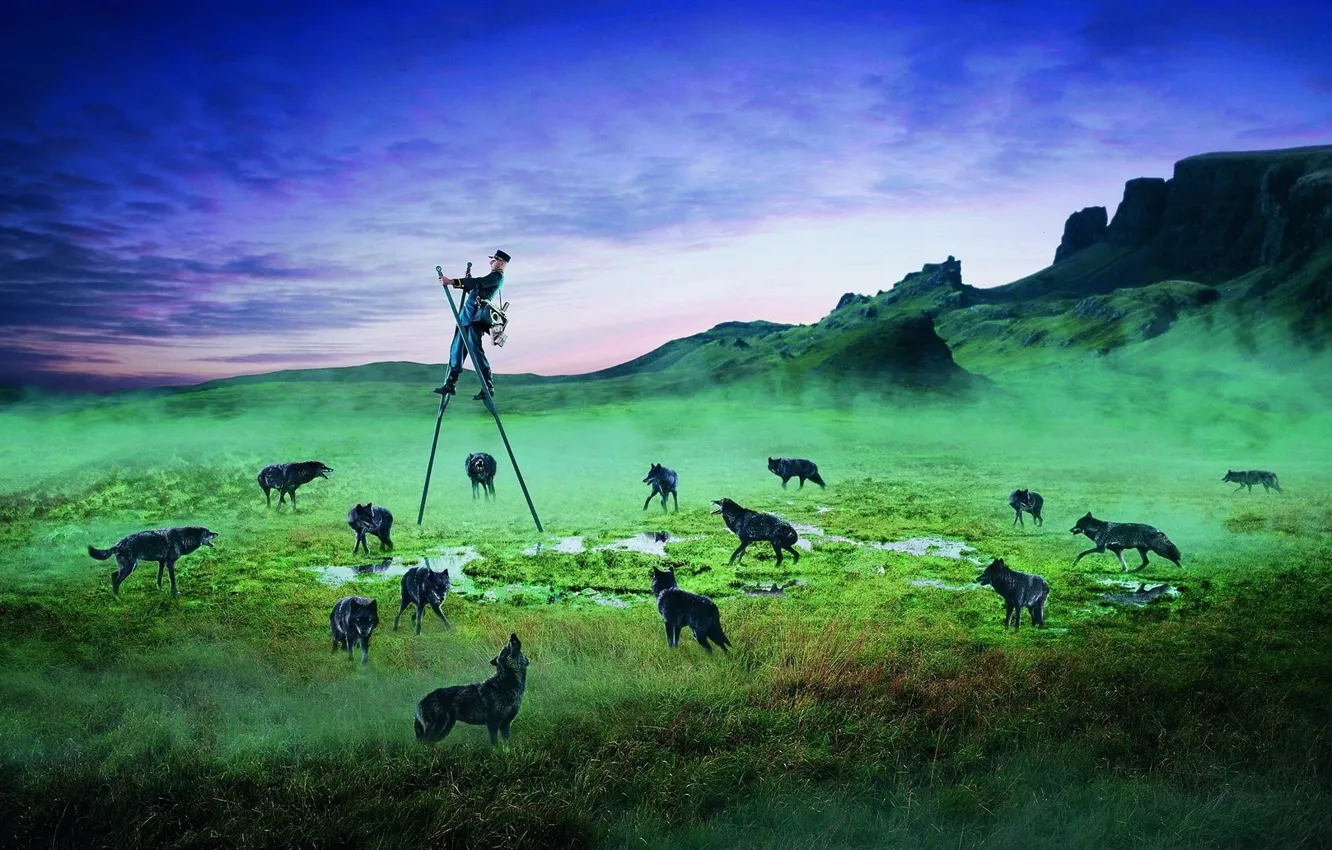 Photo wallpaper field, animals, fear, people, the evening, wolves, The postman, stilts