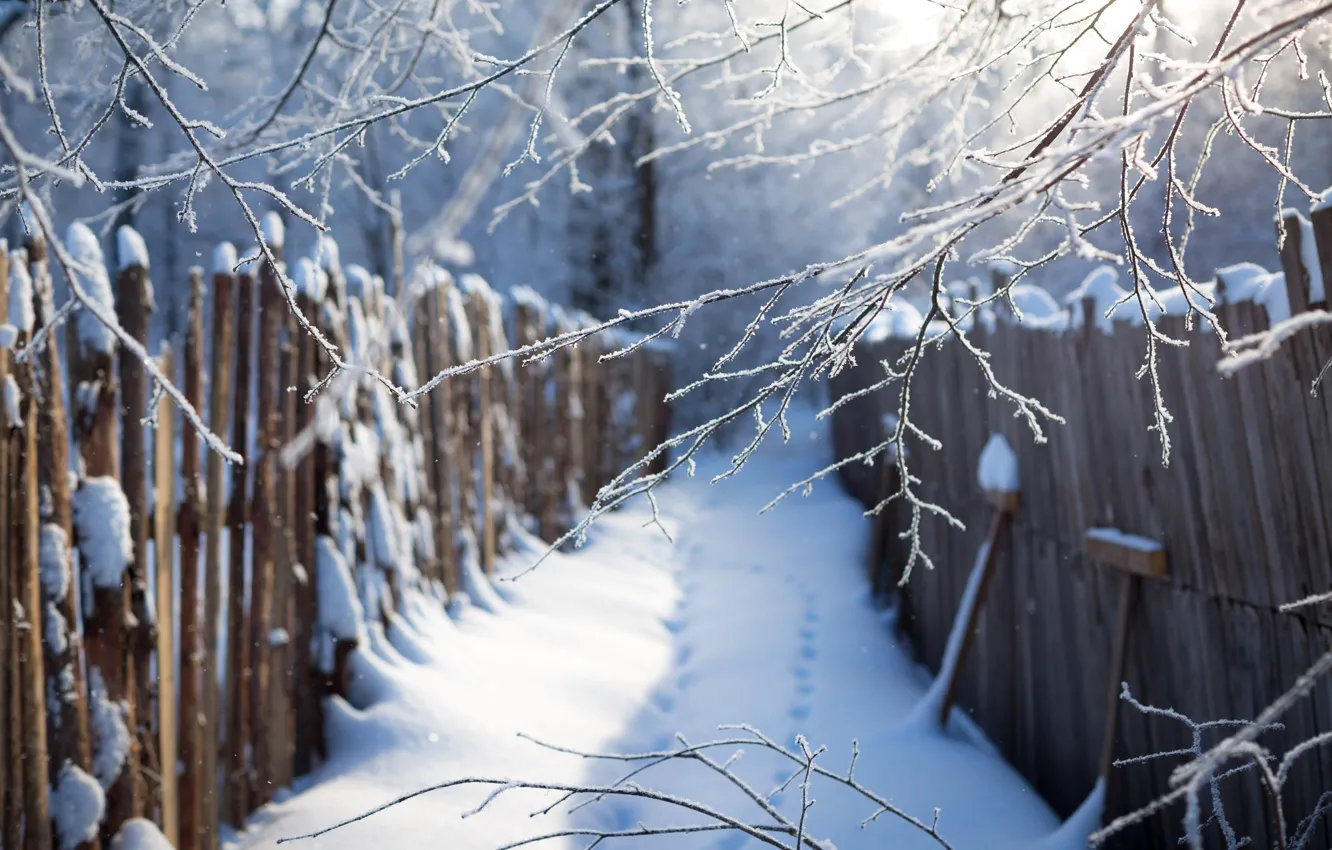 Photo wallpaper winter, snow, blue, traces, the fence, branch, the snow