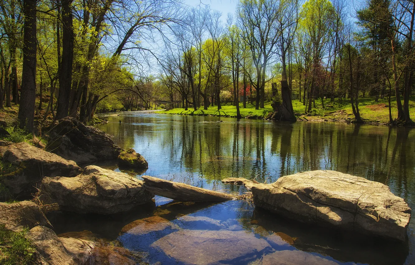 Photo wallpaper the sky, grass, trees, river, stones, spring