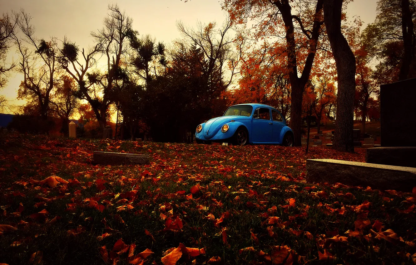 Photo wallpaper autumn, leaves, trees, graves, Volkswagen, Beetle, cemetery