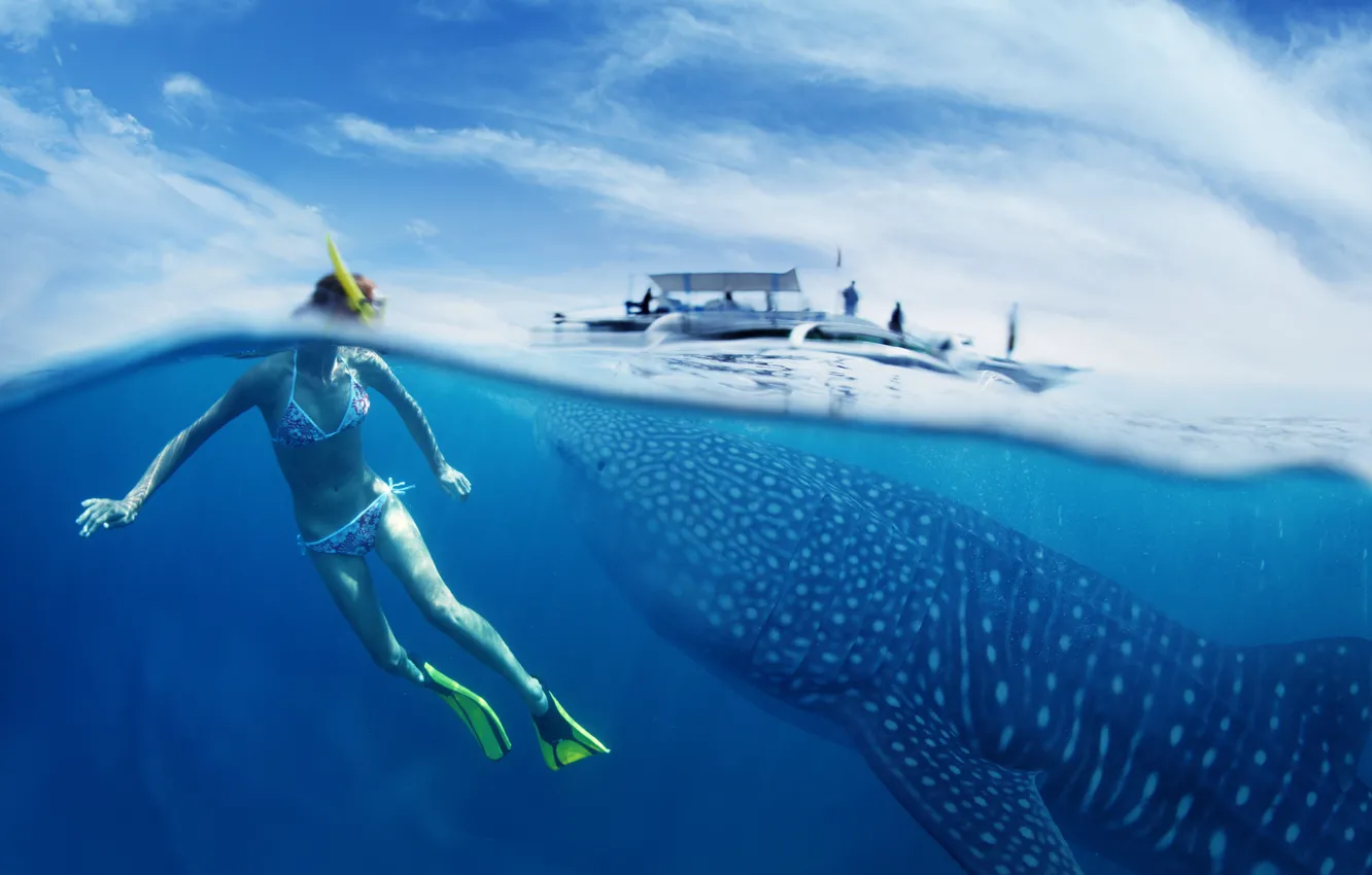 Photo wallpaper Whale Shark, snorkeling, young lady