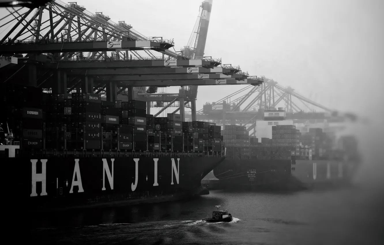 Photo wallpaper Fog, Port, Boat, The ship, A container ship, Cranes, Black - and-white., Zaton