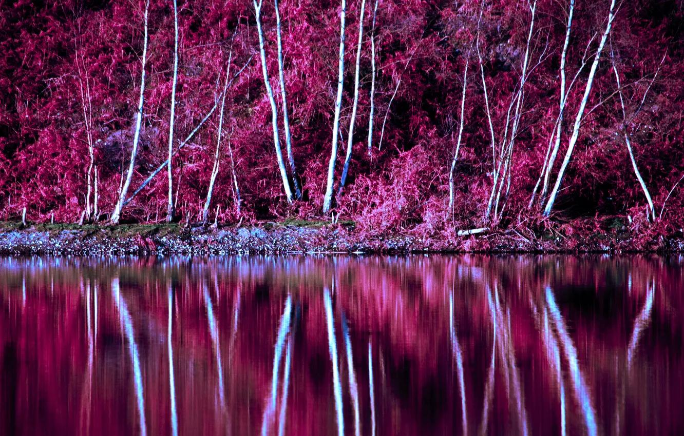 Photo wallpaper autumn, trees, lake, reflection, slope