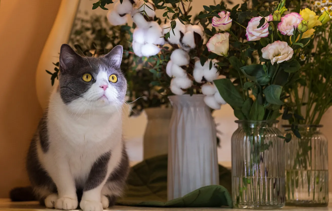 Photo wallpaper cat, cat, look, light, flowers, bouquet, vase, sitting