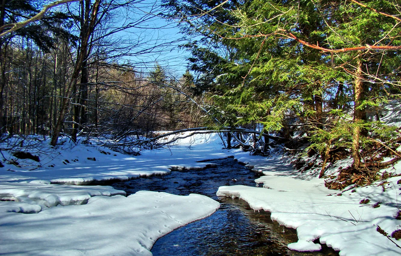 Photo wallpaper forest, the sky, snow, trees, landscape, river, stream, spring