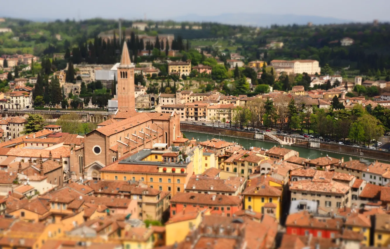 Photo wallpaper trees, river, Italy, river, trees, Italy, Verona, Verona