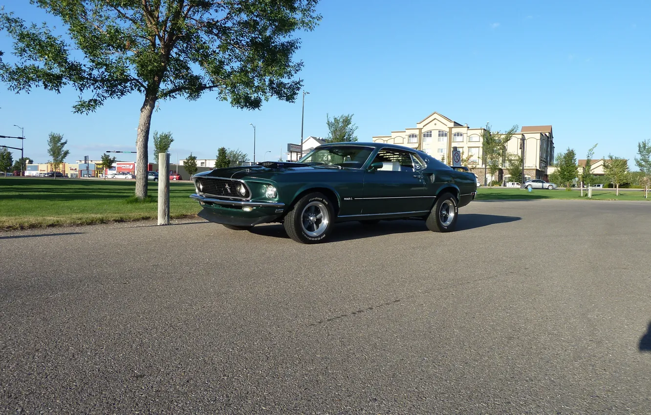 Photo wallpaper Mustang, Ford, 1969, Green, Musclecar, Mach 1, Mach1