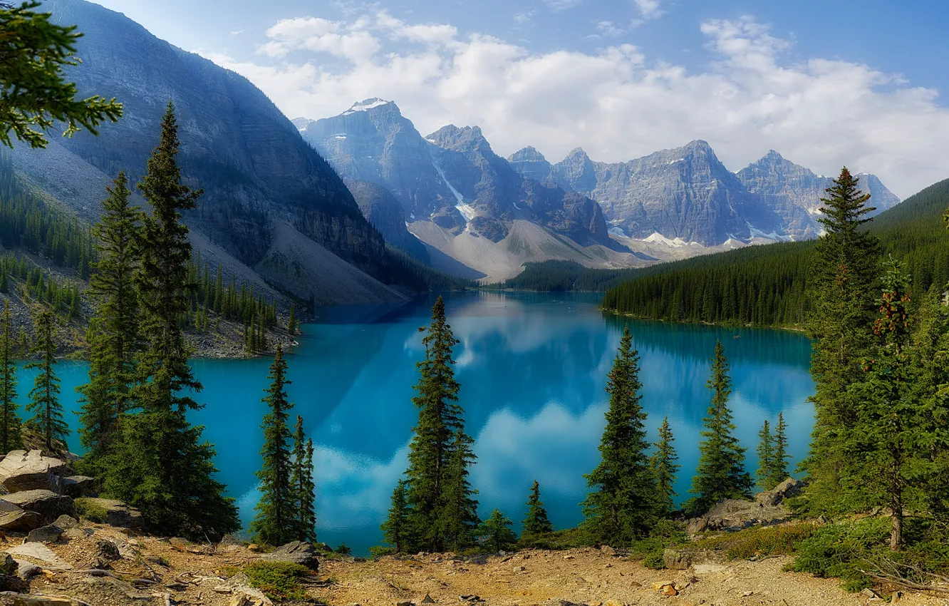 Photo wallpaper forest, lake, shore, ate, Canada, Albert, pond, Moraine
