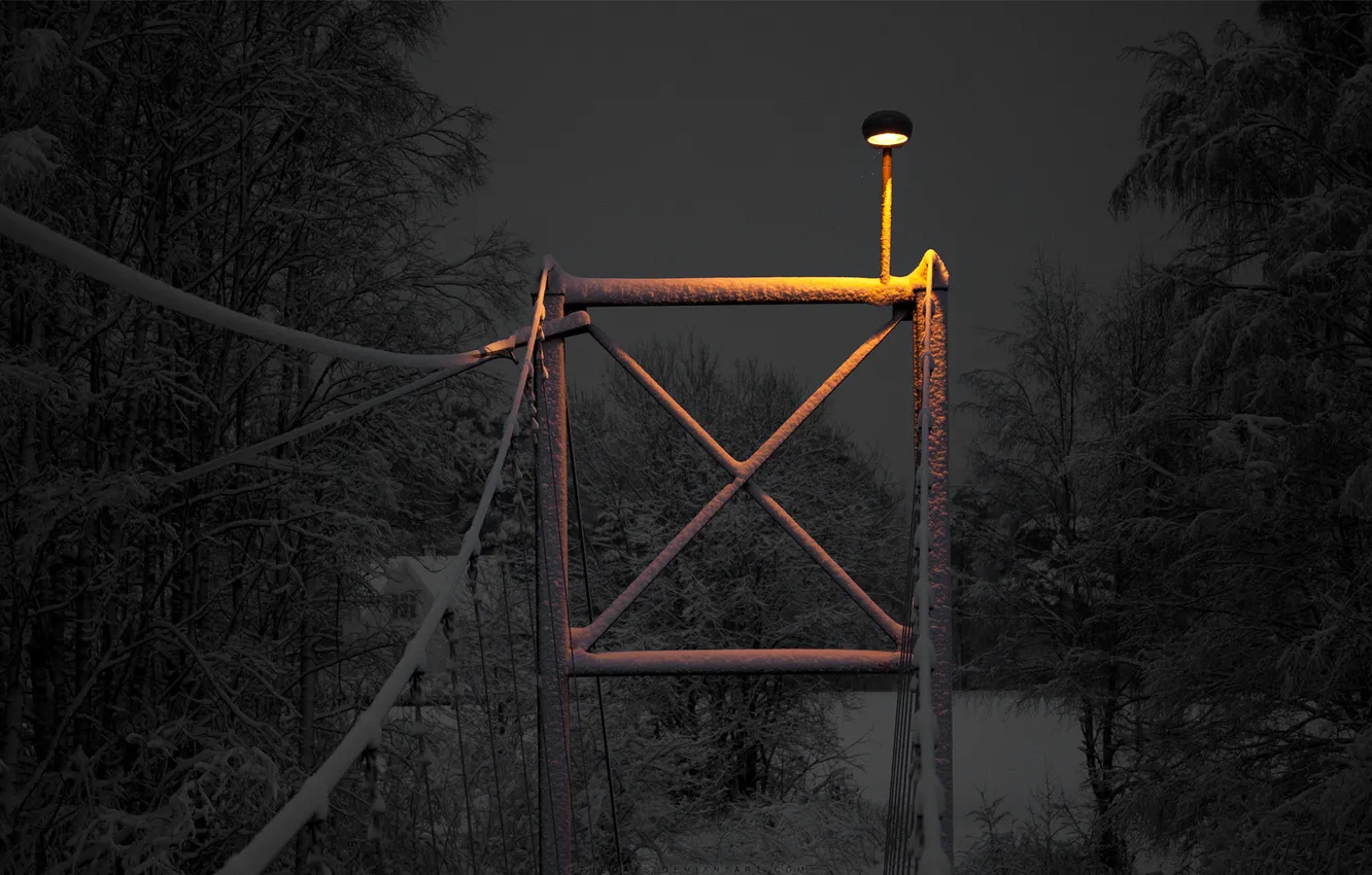 Photo wallpaper winter, snow, trees, night, bridge, lights