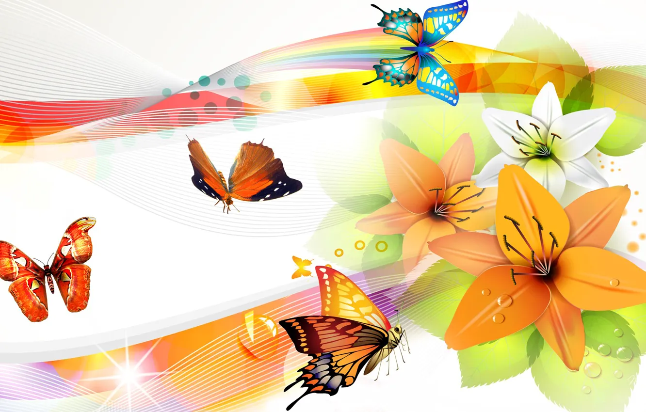 Photo wallpaper flowers, collage, butterfly, Lily, wings, vector, petals, moth