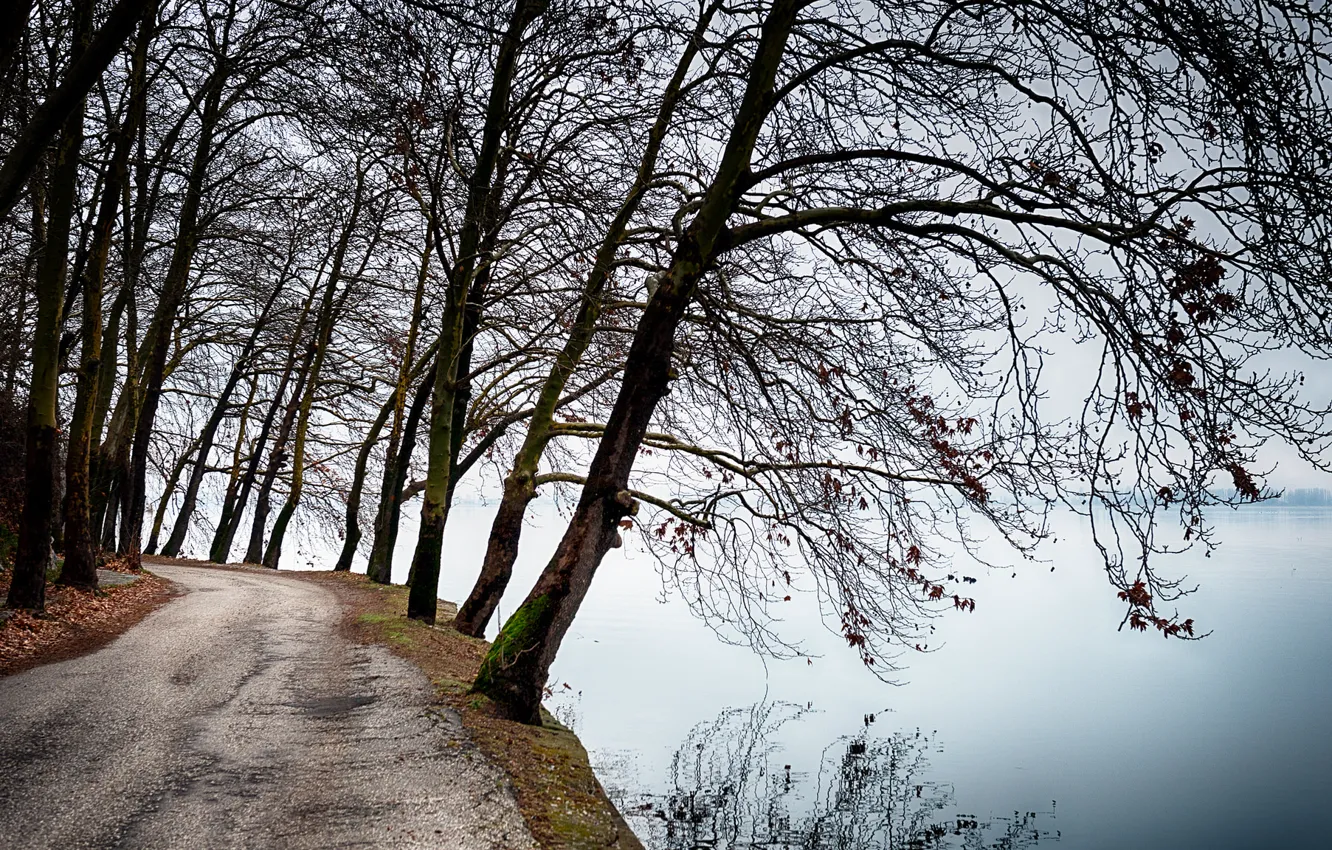 Photo wallpaper road, trees, lake, reflection