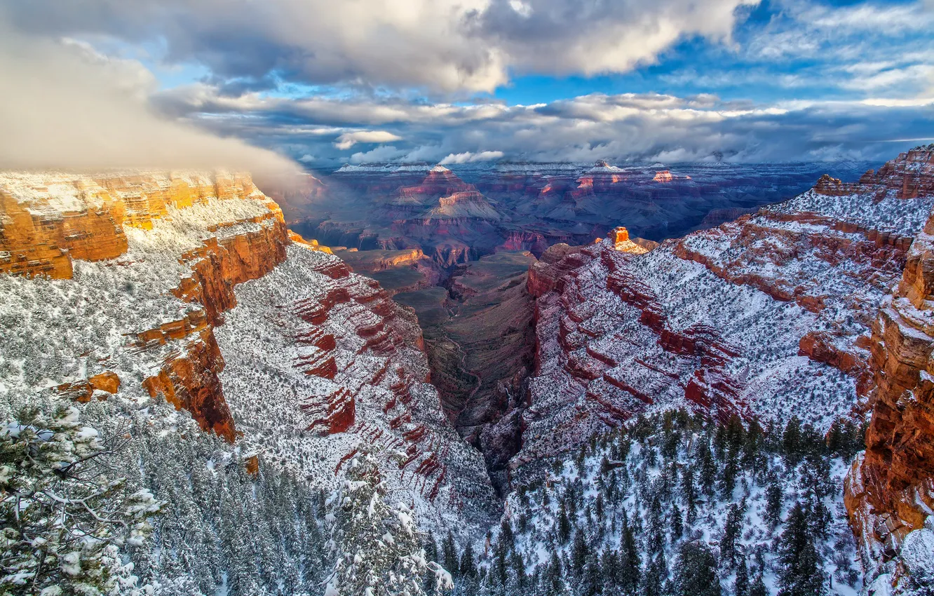 Photo wallpaper winter, frost, forest, clouds, snow, mountains, rocks, view