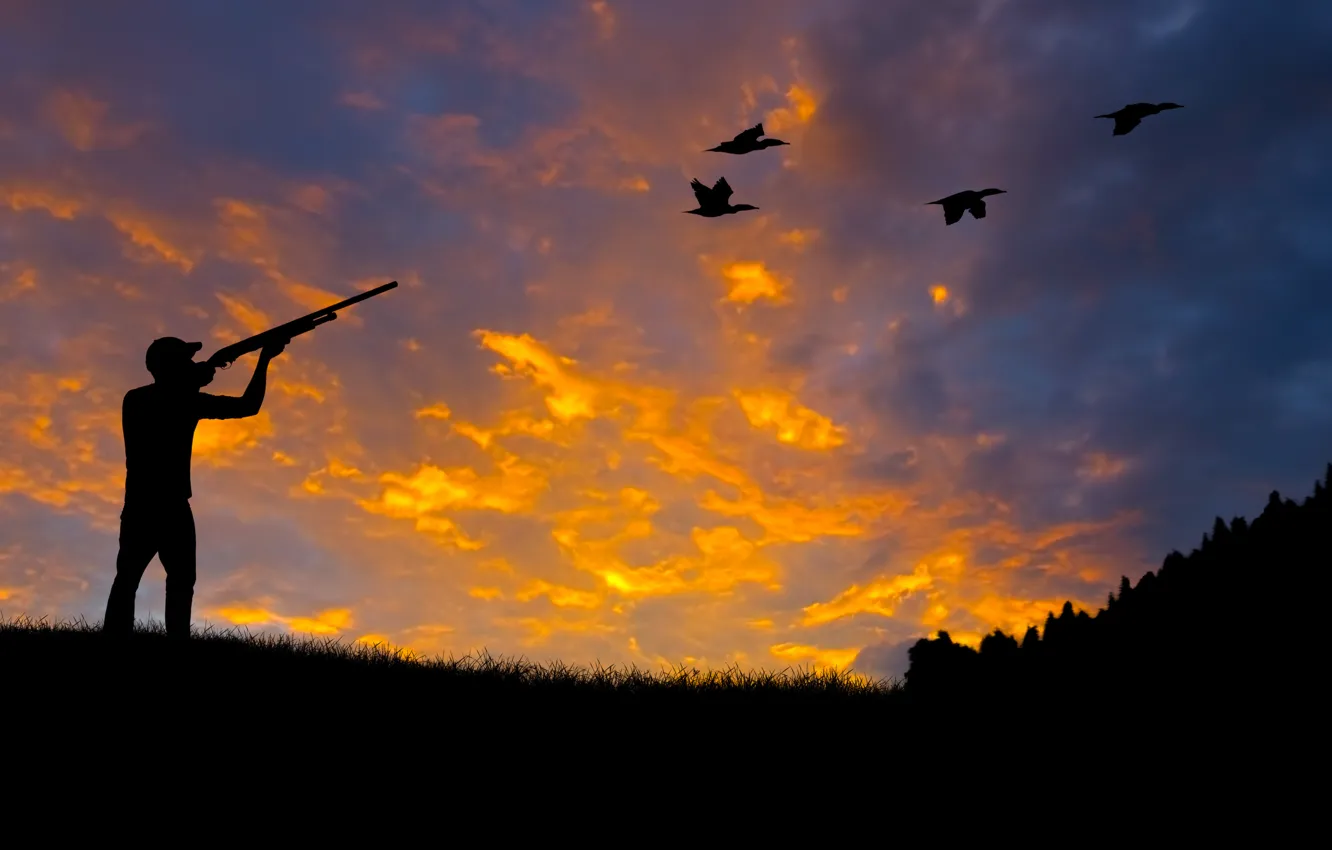 Photo wallpaper forest, nature, duck, silhouette, shooting, hunting, the gun, rifle