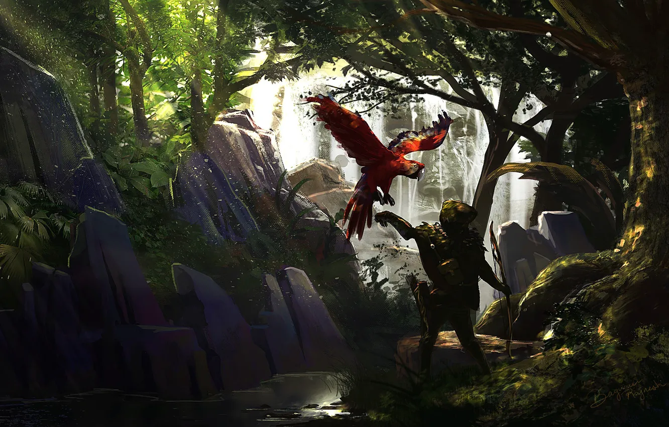 Photo wallpaper stones, parrot, hunter, lost hunter