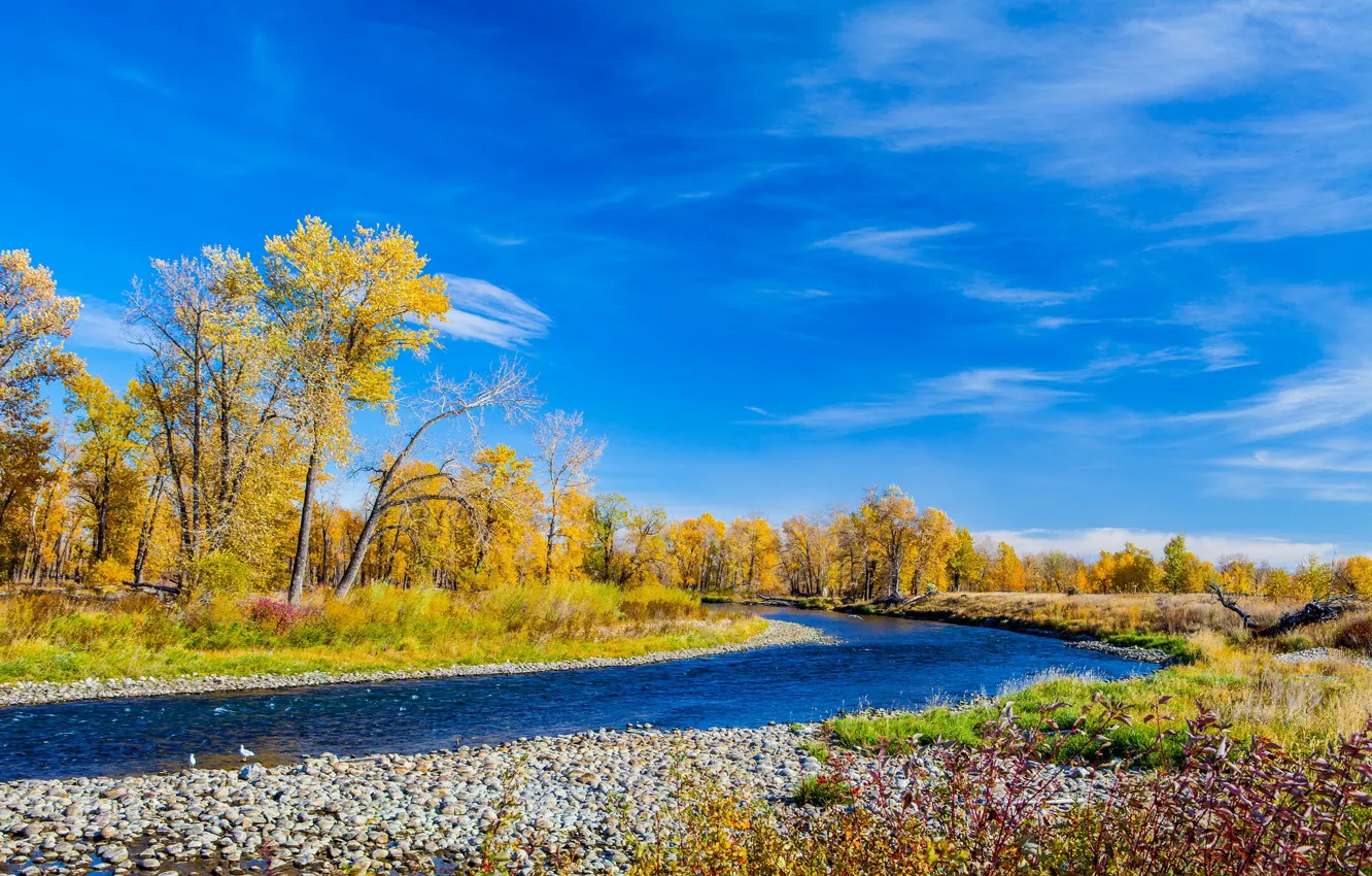 Photo wallpaper autumn, the sky, trees, river