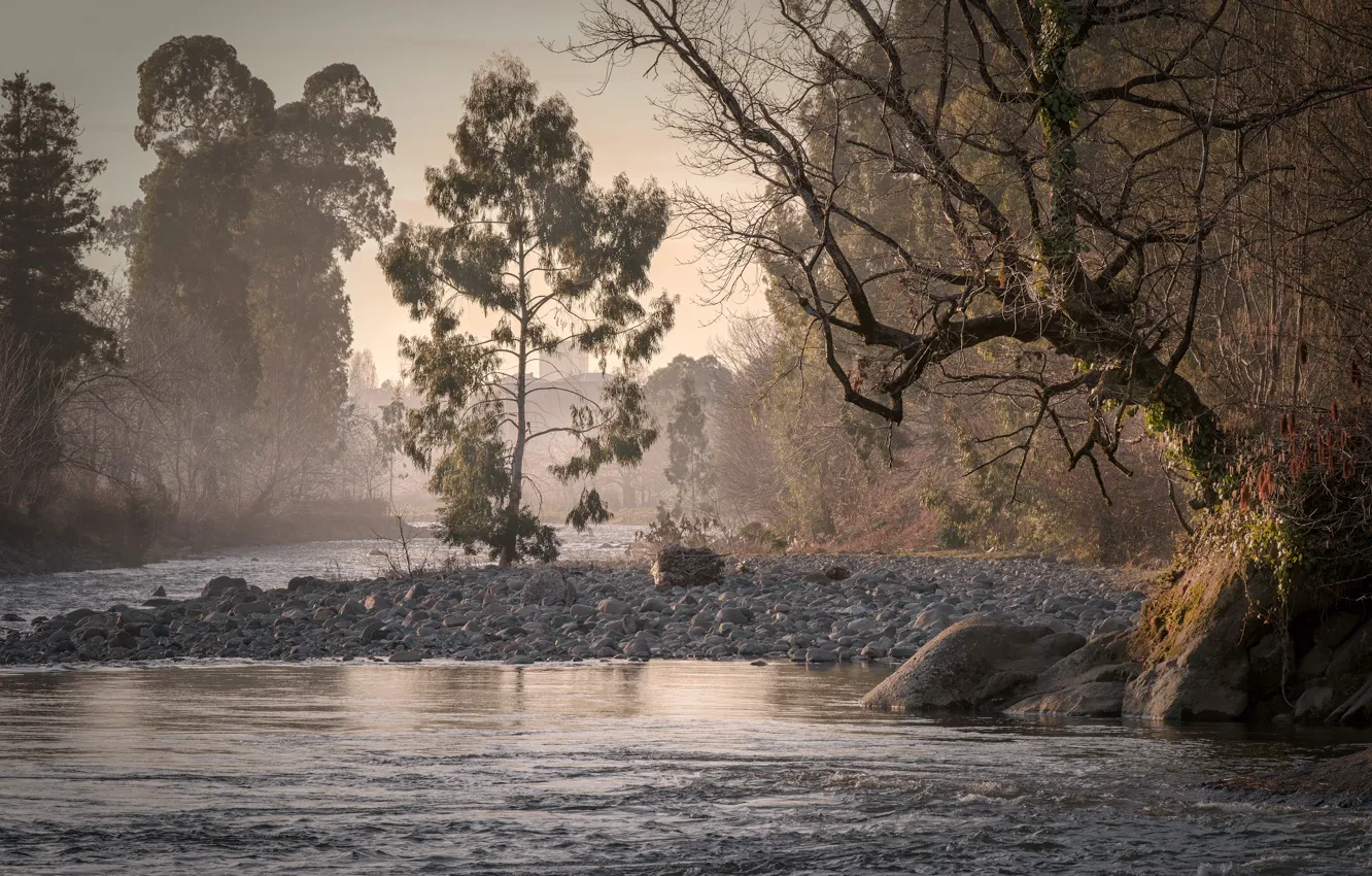 Photo wallpaper water, trees, sunset, river, for, Adjara