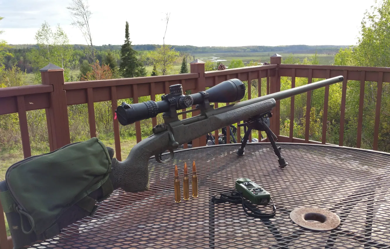 Photo wallpaper weapons, sniper rifle, T-76