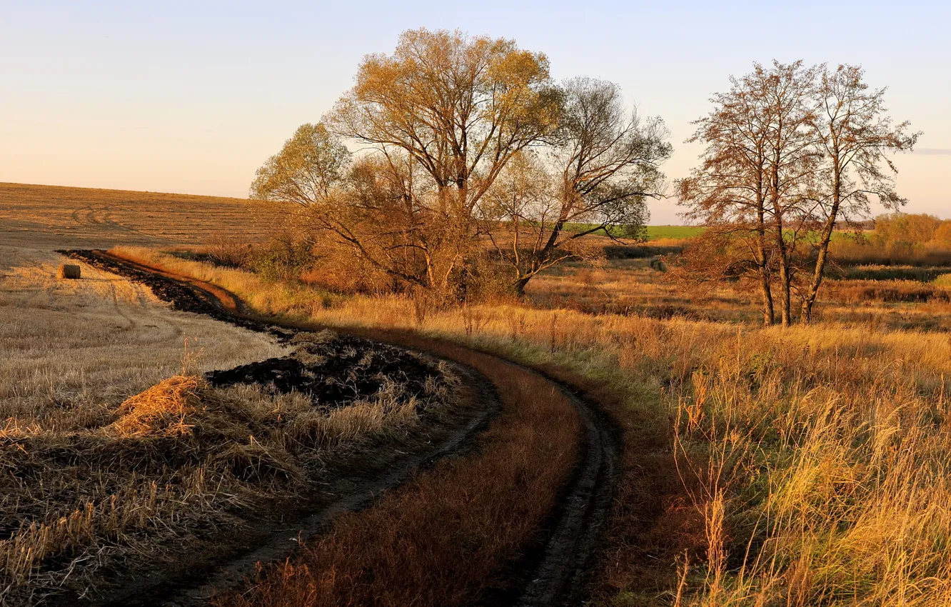 Photo wallpaper road, field, sunset