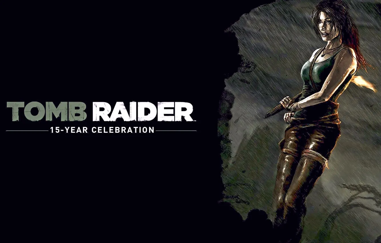 Photo wallpaper Tomb Raider, game, Lara Croft, 2013