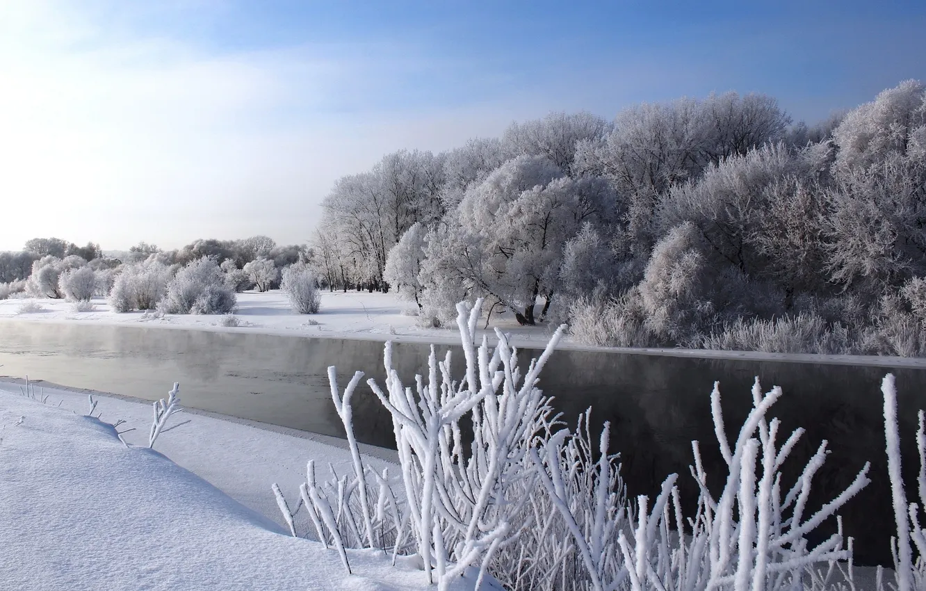 Photo wallpaper winter, snow, trees, river