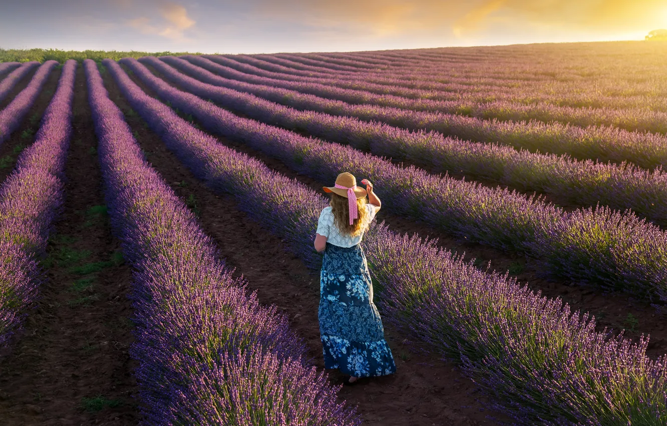 Photo wallpaper field, summer, girl, the sun, flowers, lavender, Gordeev Edward