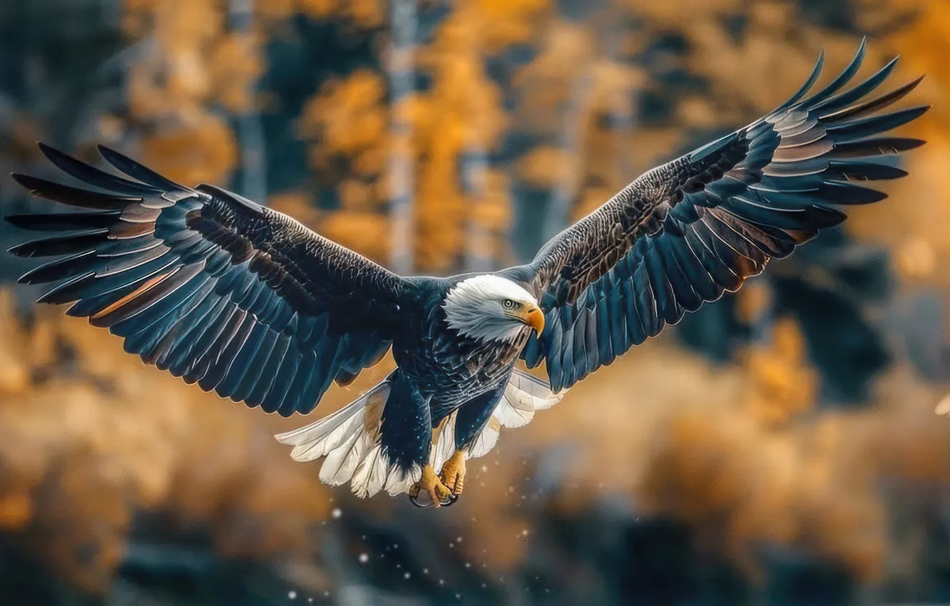 Photo wallpaper autumn, forest, trees, flight, bird, eagle, bokeh, bald eagle