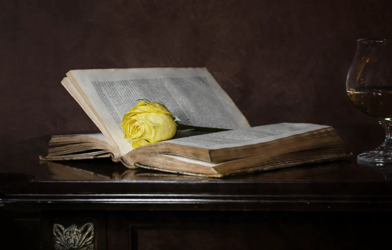 Photo wallpaper background, rose, book