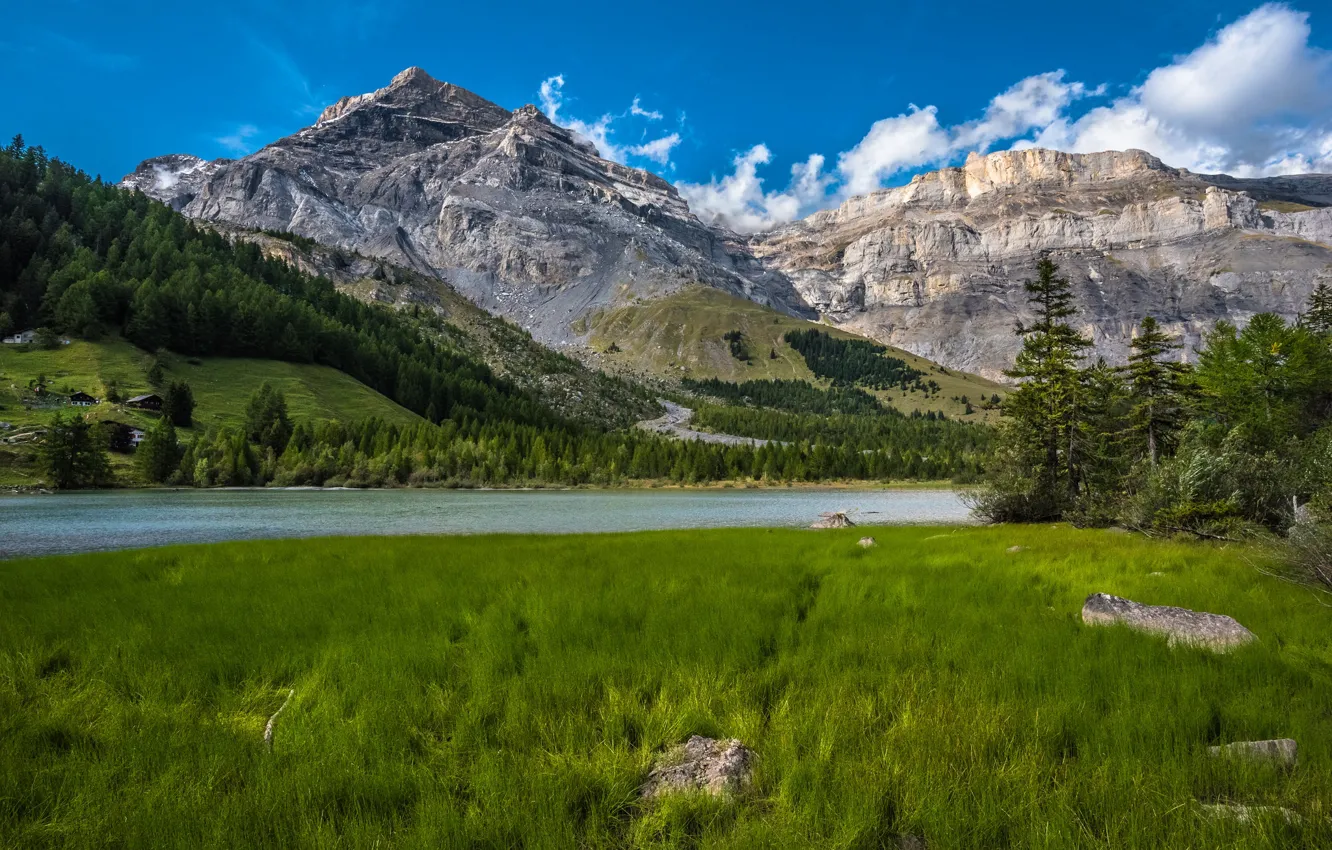 Photo wallpaper forest, grass, mountains, lake, Switzerland, Switzerland, Bernese Alps, The Bernese Alps
