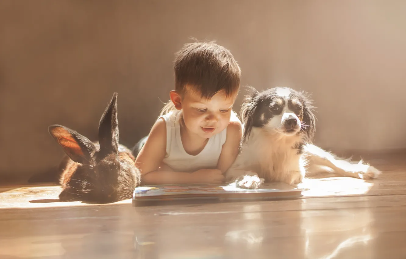 Photo wallpaper dog, boy, rabbit, friends, owner, reading