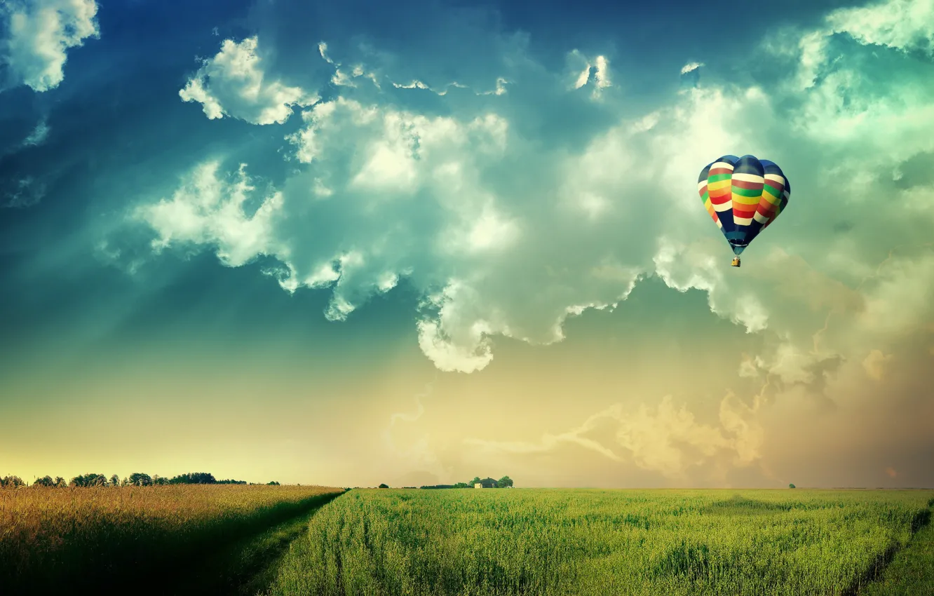 Photo wallpaper field, the sky, the sun, balls