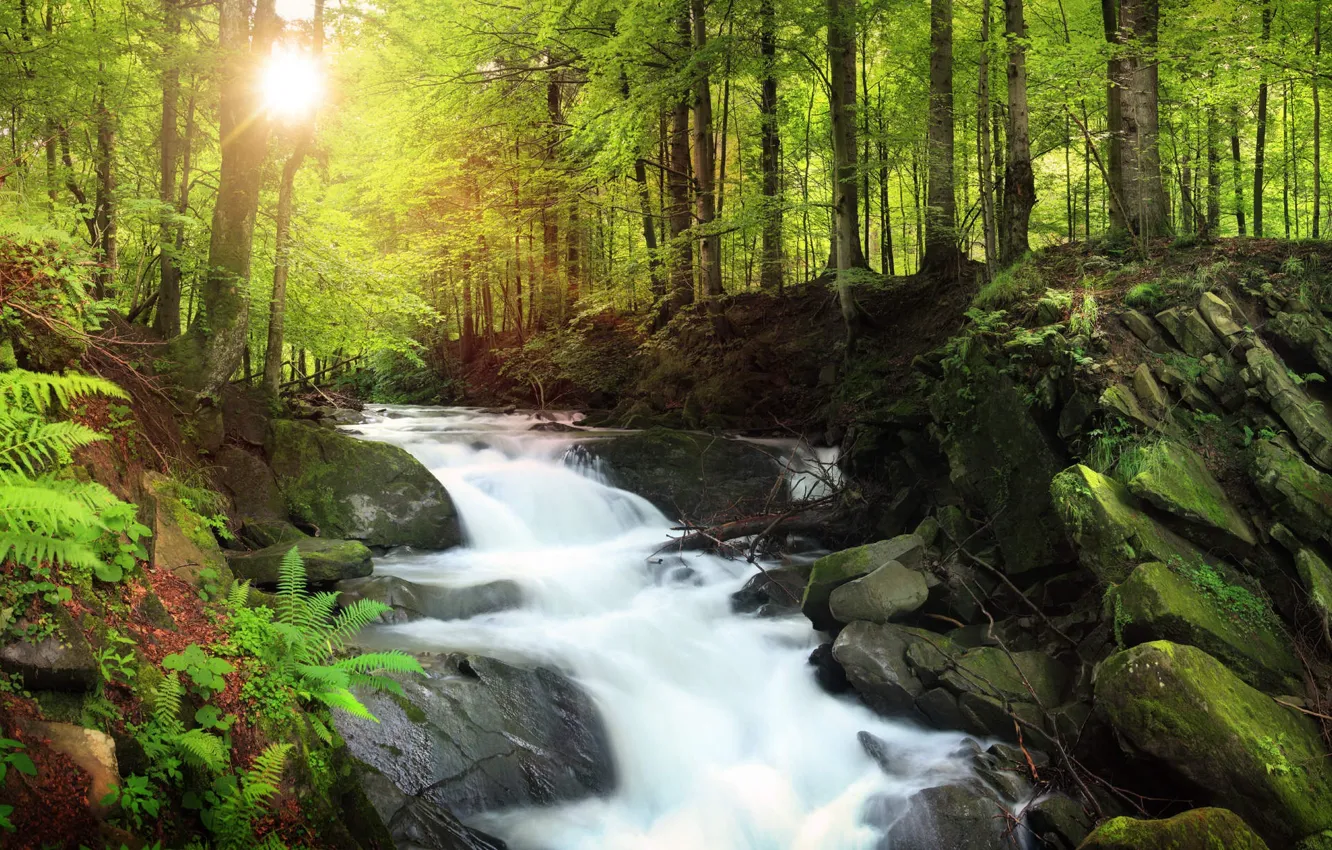 Photo wallpaper the sun, nature, rocks, shore, waterfall, stream