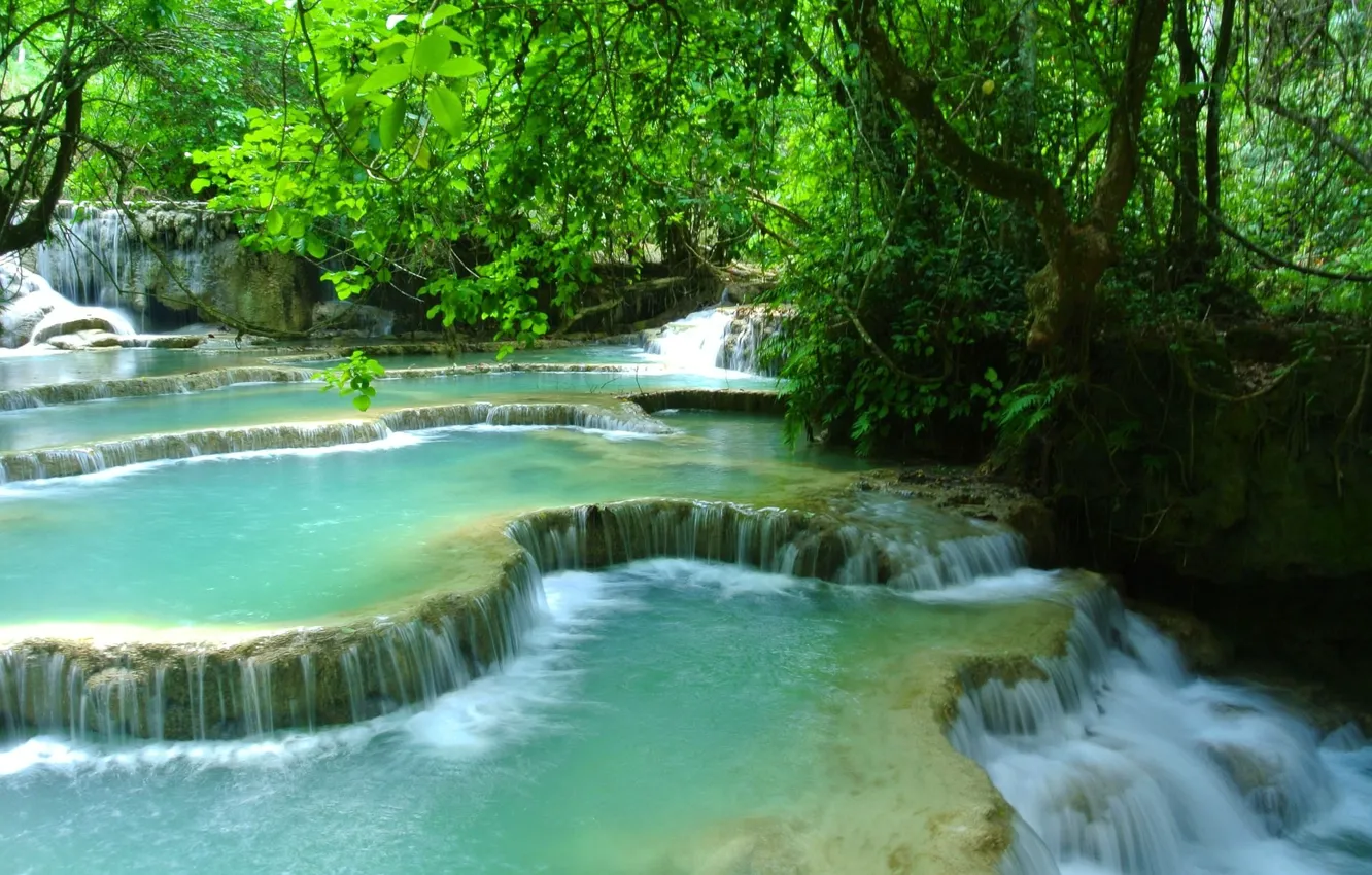 Photo wallpaper forest, landscape, nature, river, waterfall, Laos