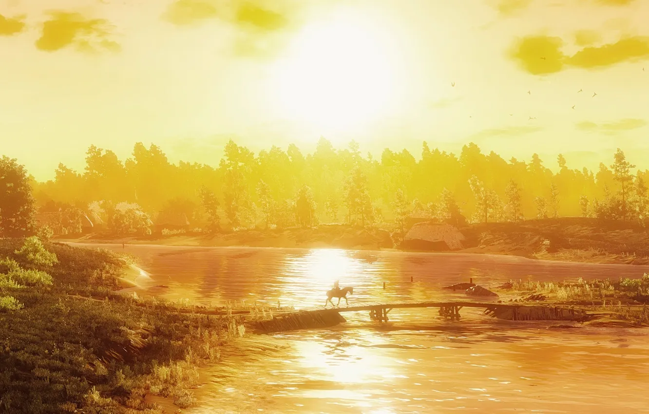 Photo wallpaper trees, bridge, river, Light, Witcher 3