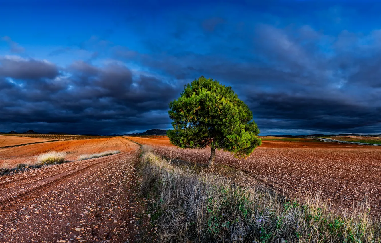 Photo wallpaper road, the sky, nature