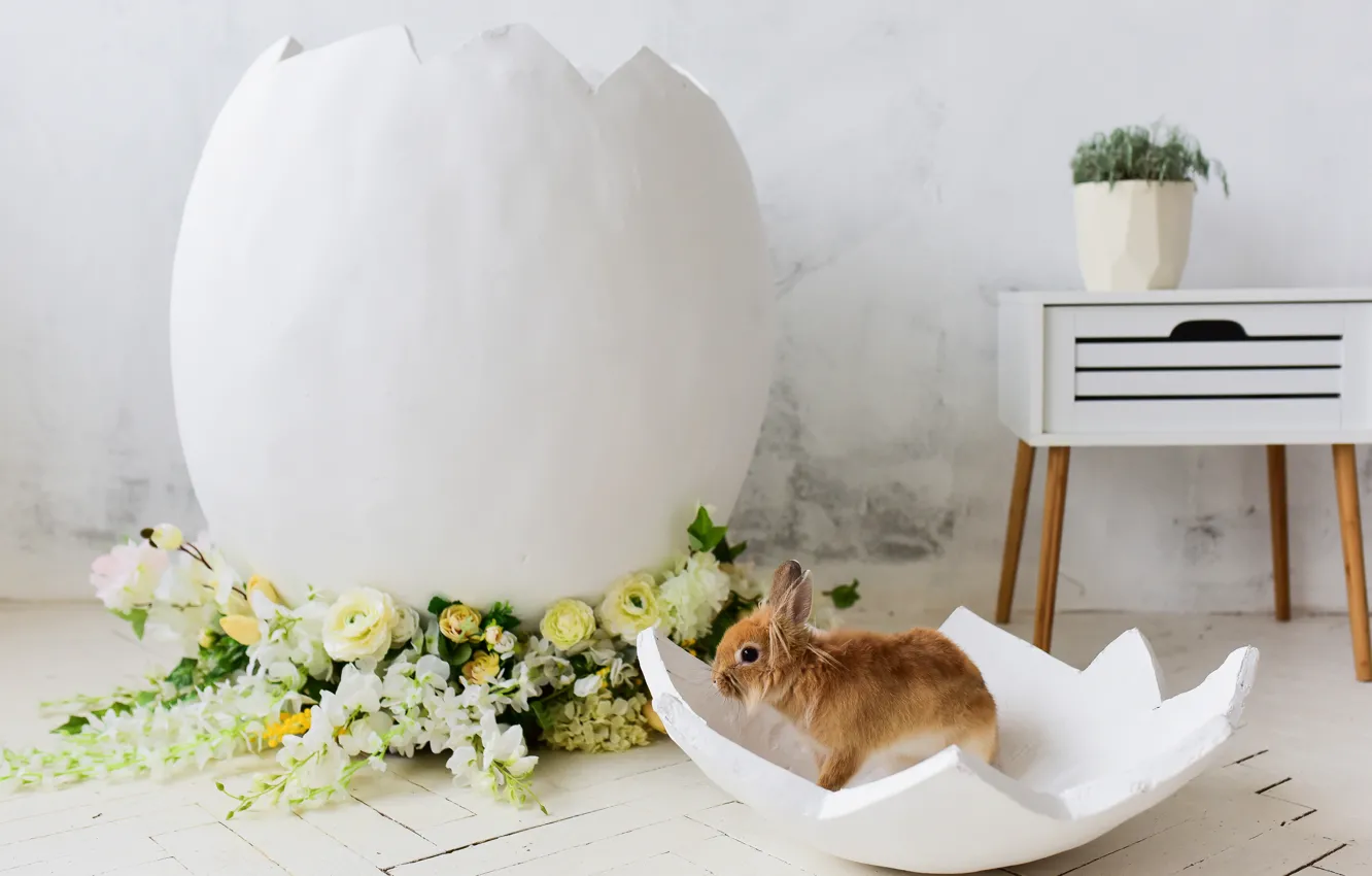 Photo wallpaper eggs, rabbit, Easter