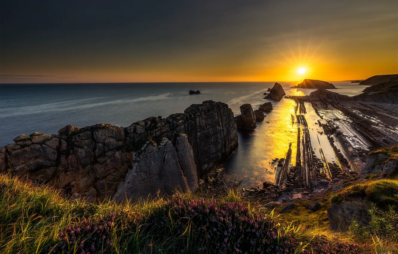 Photo wallpaper sea, sunset, flowers, stones, shore, stone ridge