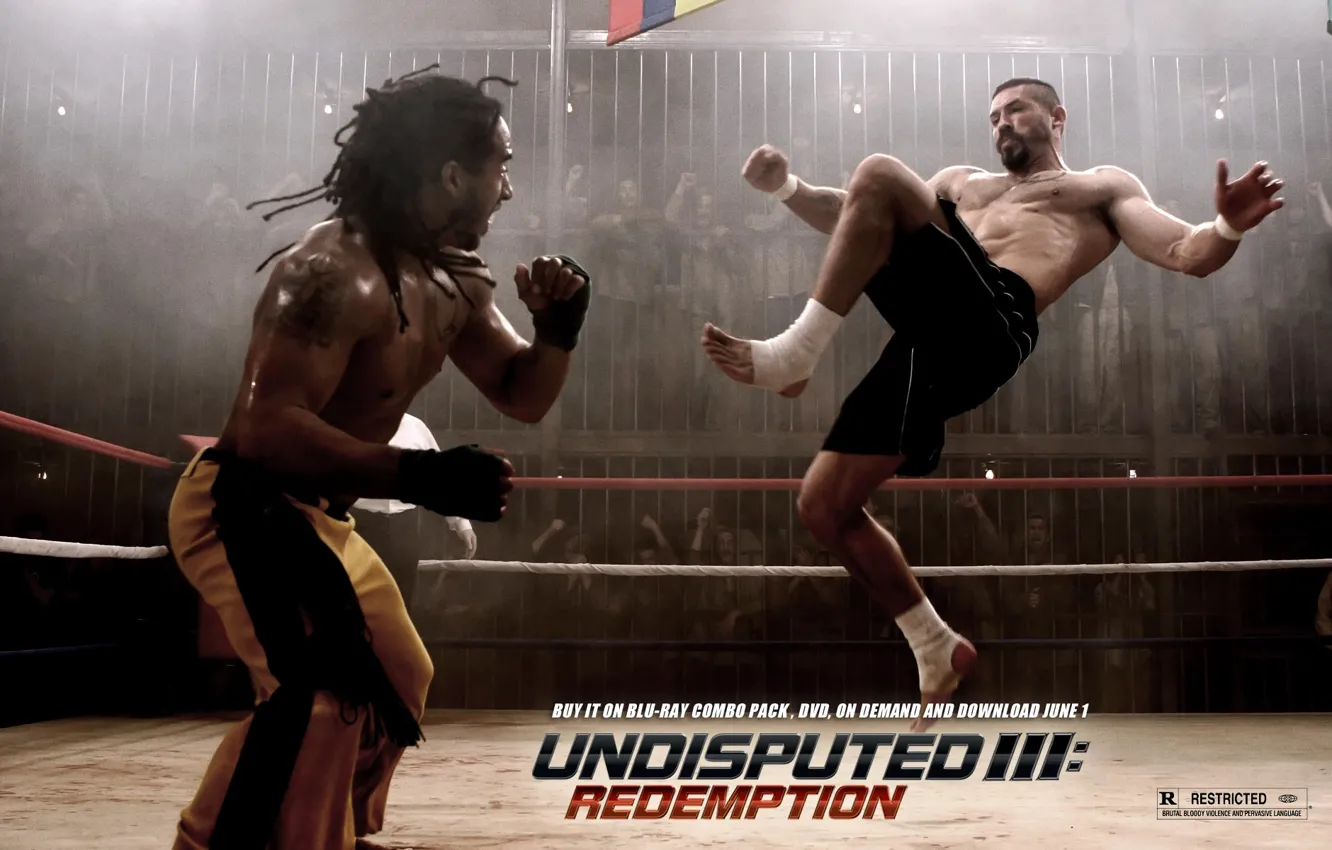 Photo wallpaper Boxing, the ring, Scott Edkins, Scott Adkins, Undisputed III, Redemption, Undisputed 3, Yuri Boyka