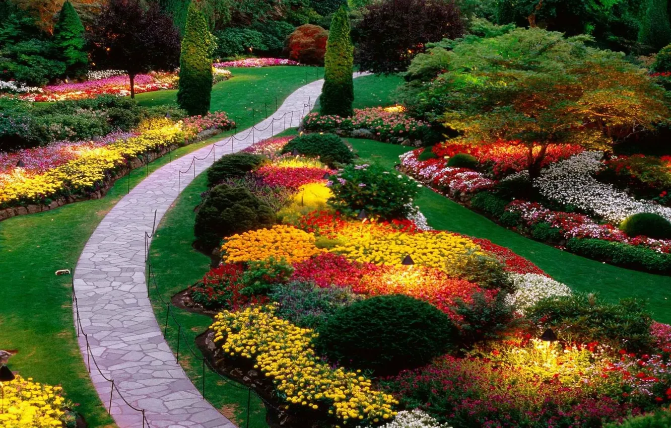 Photo wallpaper trees, flowers, nature, Park, plant, garden, track, trees